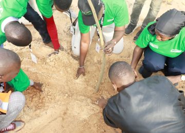 Reboisement à Dakar Mobilité