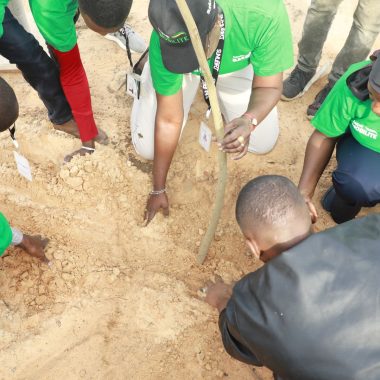 Reboisement à Dakar Mobilité