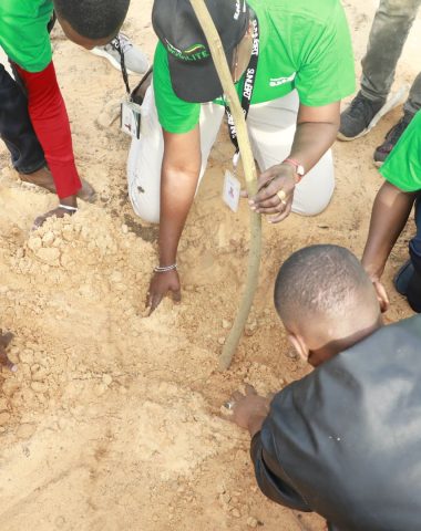 Reboisement à Dakar Mobilité