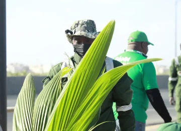 reboisement-ilo-vert